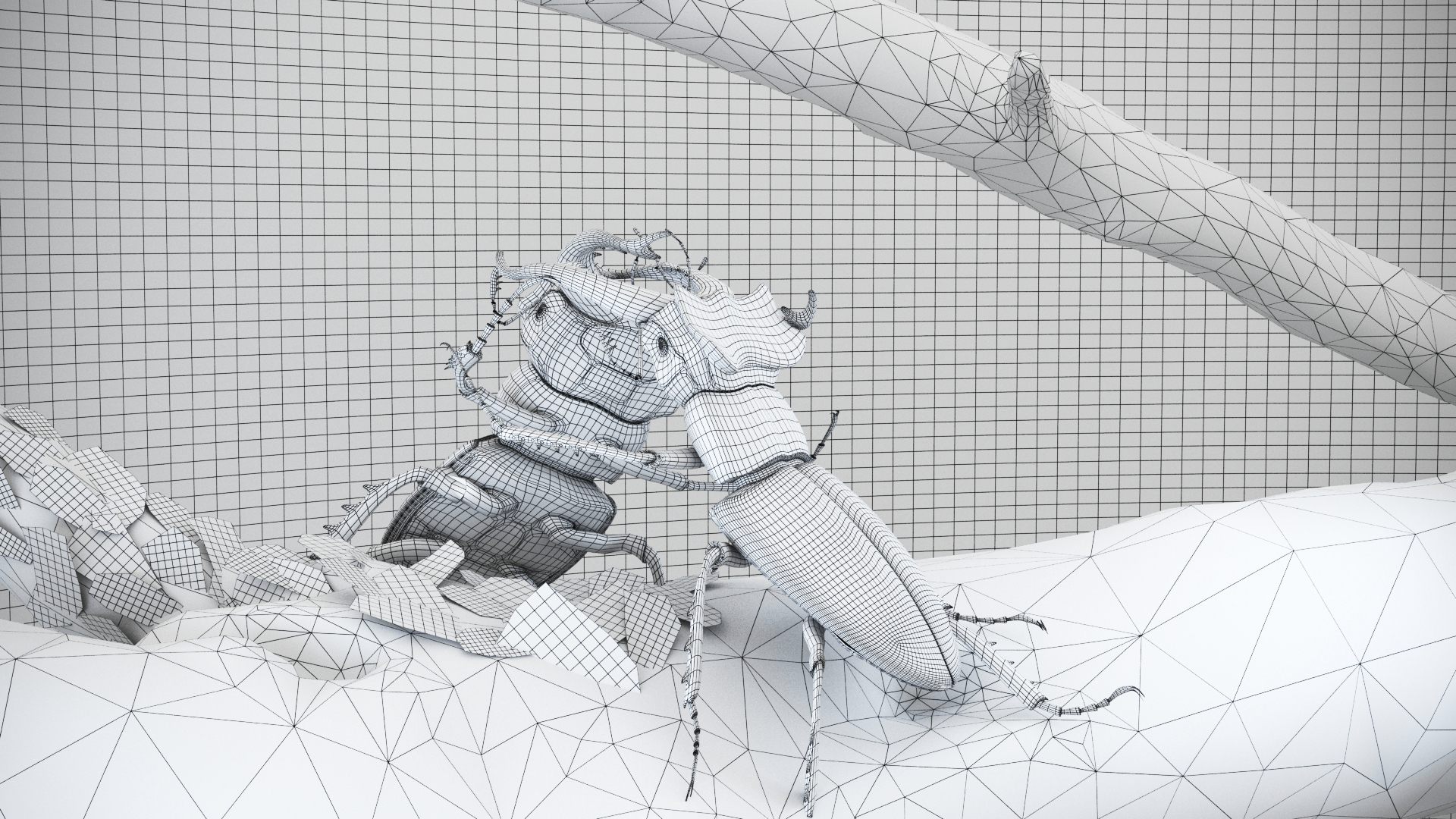 BeforeAfterMicrocosmo.003