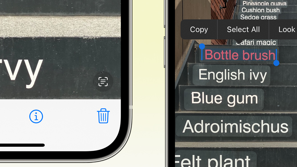 iOS 15の新機能：写真内の文字をコピー・検索・翻訳できるライブテキストの使い方