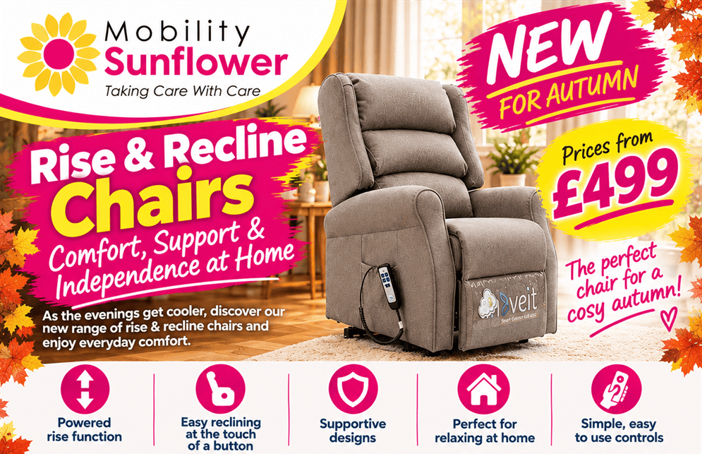 rise and recline chairs 