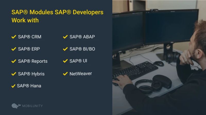 Sap Full Stack Developer S5 Consulting - Light Photos - High Quality High Resolution Collection