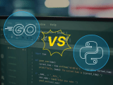 Python Software Development Insights Innovations