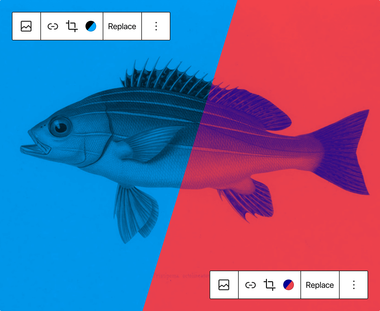 Zmienianie i kolorowanie obrazkówPrzegląd struktury strony (WordPress 5.8)