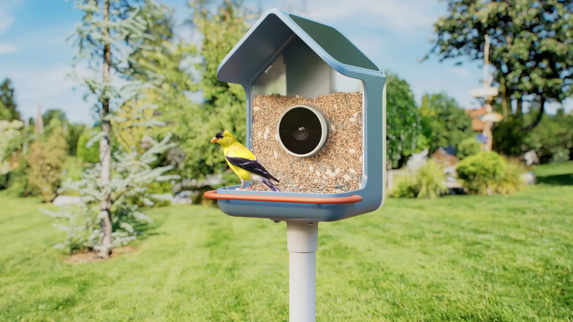 Birdbuddy 2 – nowa generacja inteligentnego karmnika dla ptaków