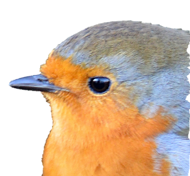 Software Build Ziggo Book - Creative Minimal Texture - 4K