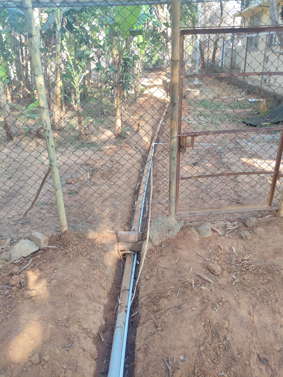 Automatic Irrigation System for Coconut Farming using TCON