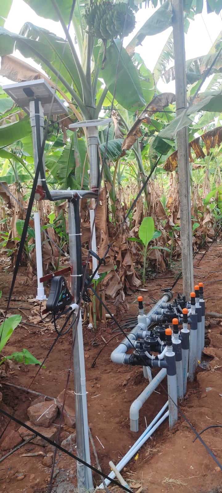 Smart Irrigation System