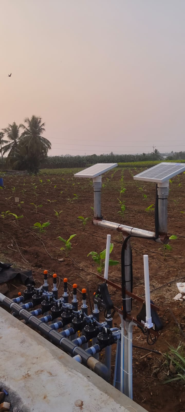 Smart Irrigation System