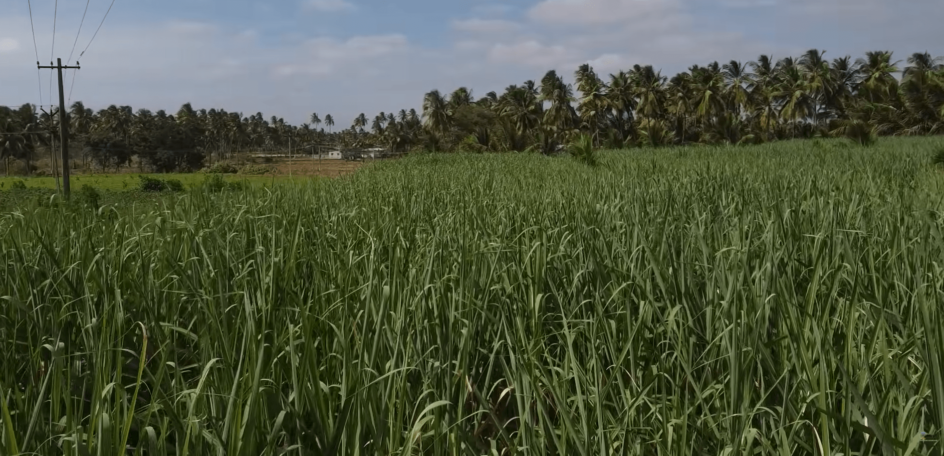 Smart Drip Irrigation System