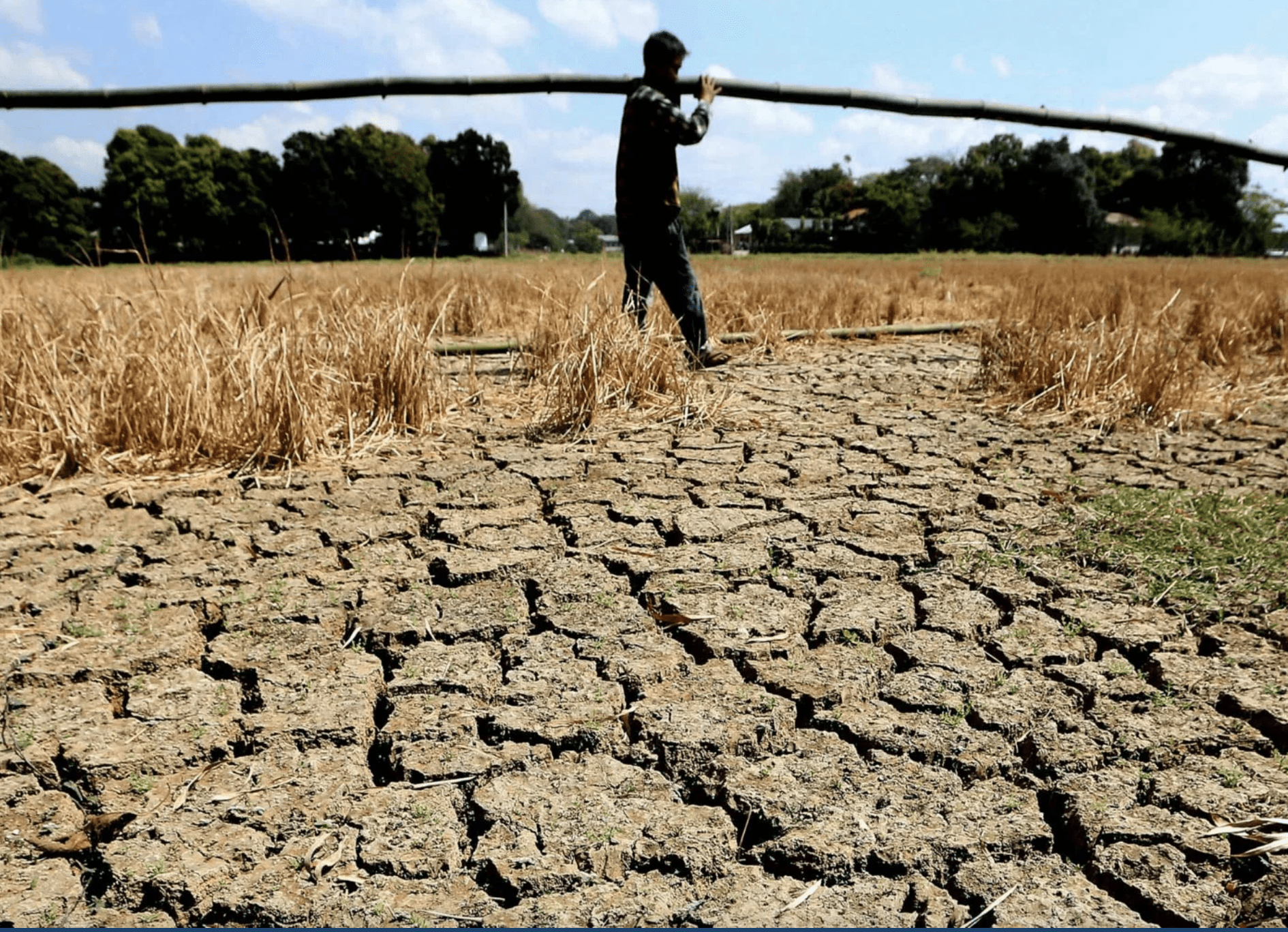 El Niño Affects Agriculture
