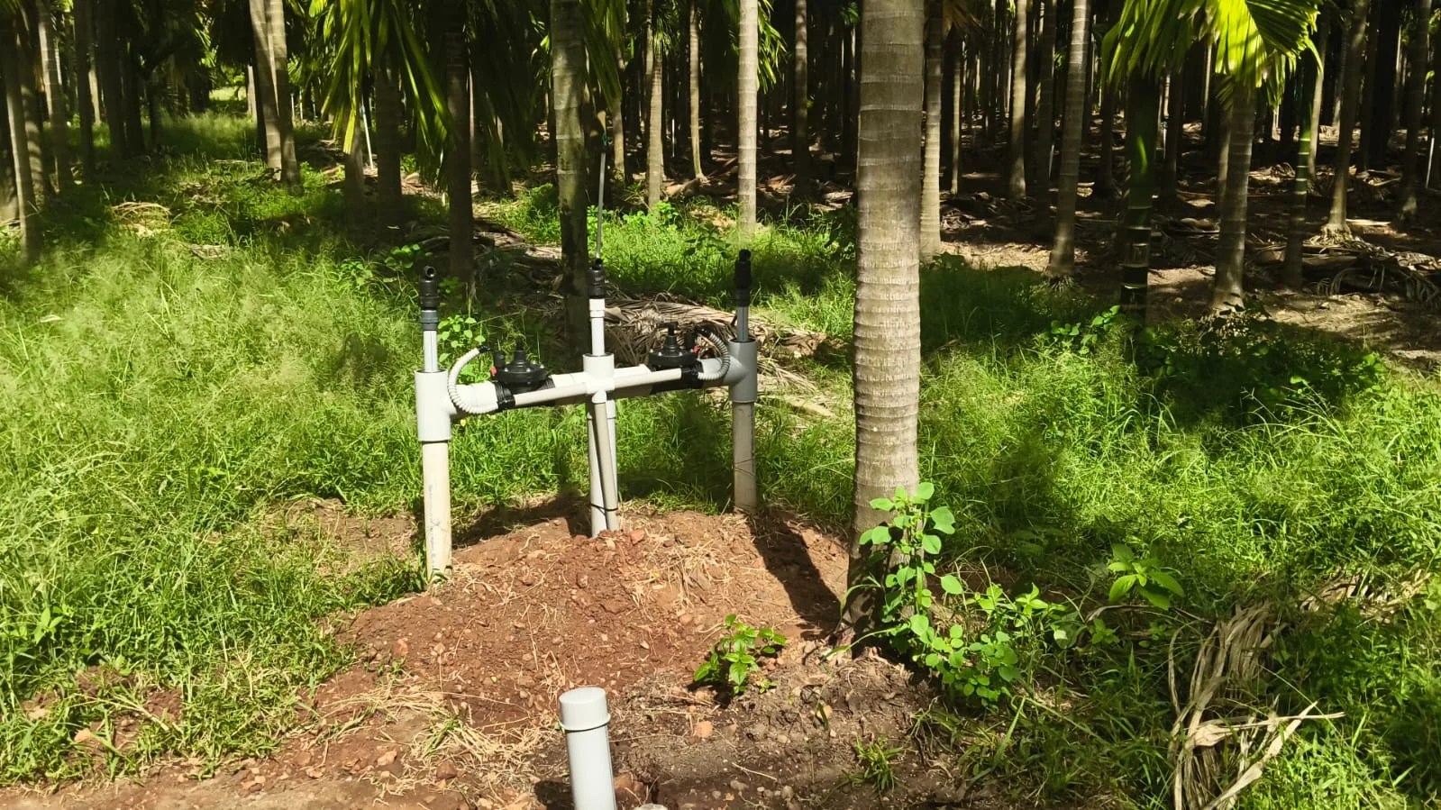 Automatic Irrigation System