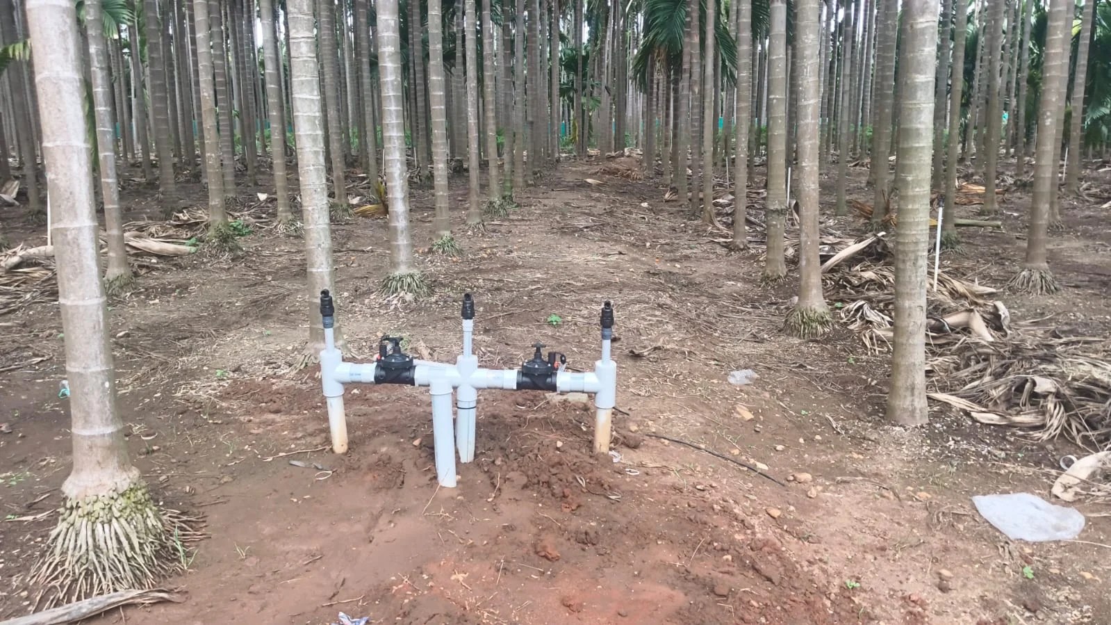 Automatic Irrigation System