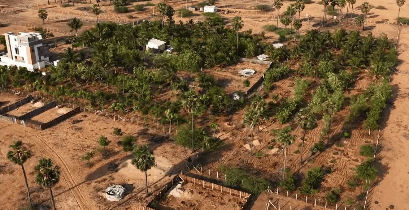Automated Irrigation System in Ramanathapuram
