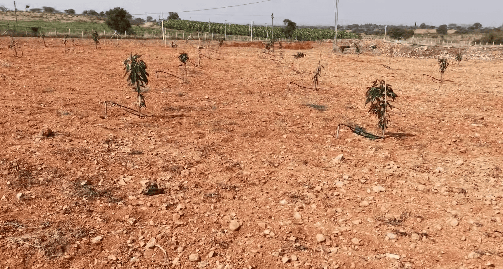 Automatic Irrigation System in Andhra Pradesh