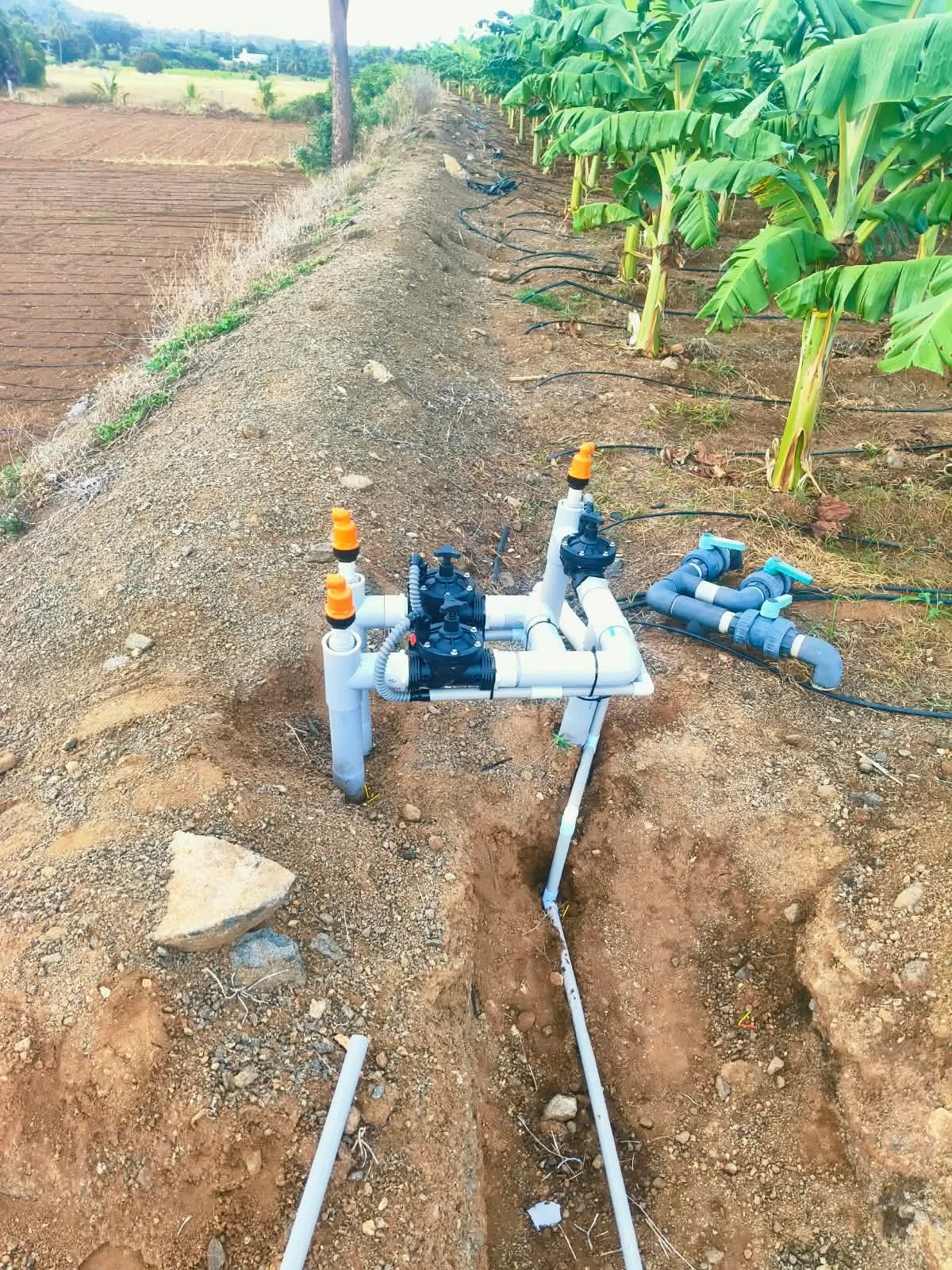 Smart Irrigation System Installation in Salem