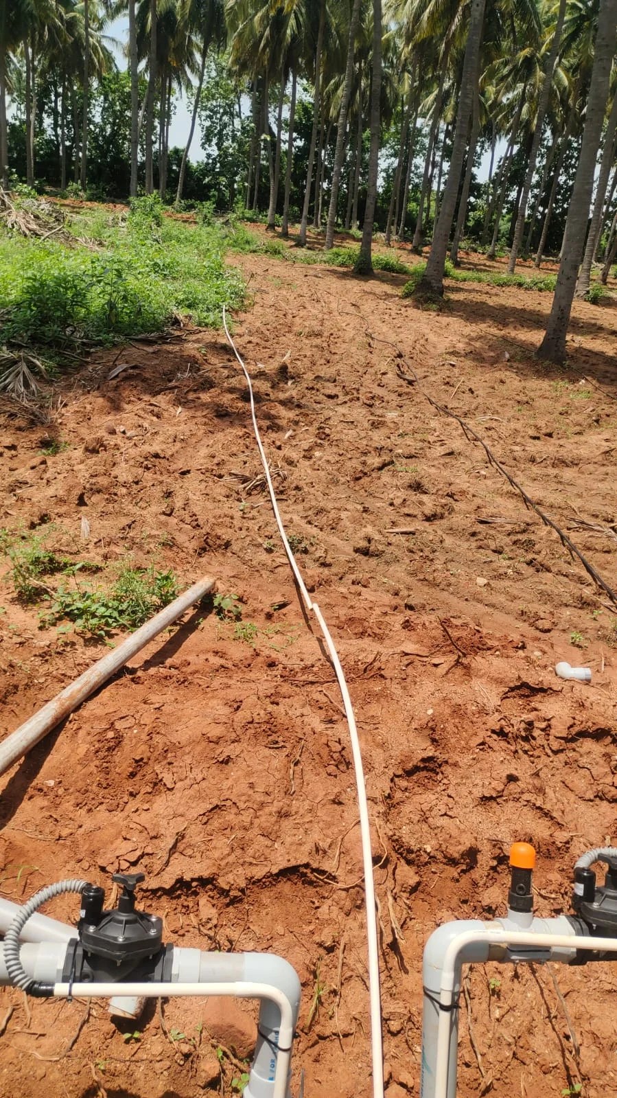 Smart Irrigation System in Chengalpattu