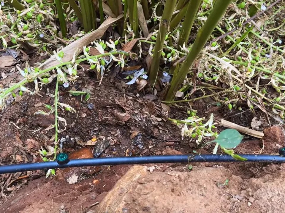 Pressure Compensating Drip Irrigation