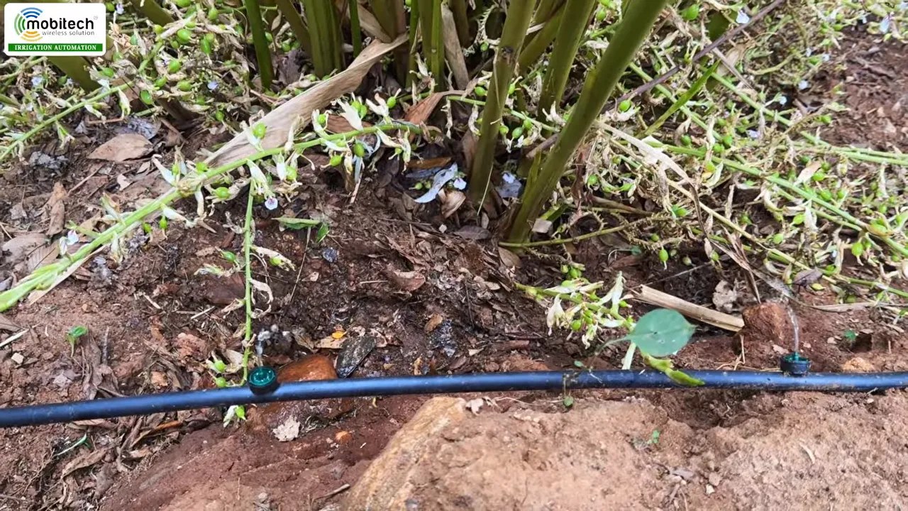 Pressure Compensating Drip Irrigation