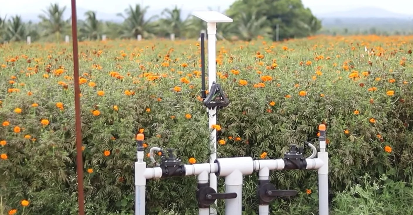 Smart Irrigation System Installation in Chamarajanagar