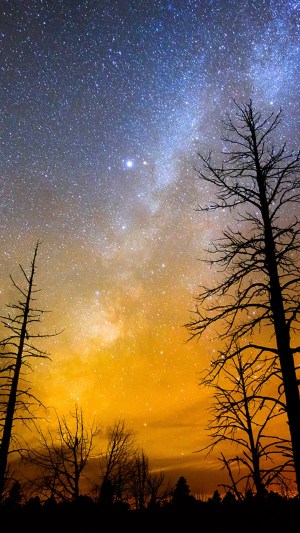 android mobile wallpapers phone