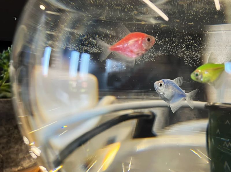 Bibiotic Mocean Studio - Download Incredible City Texture | Desktop