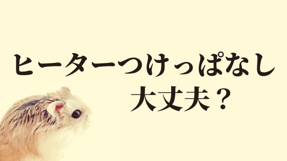 ハムスターのヒーターはつけっぱなしでも大丈夫 冬場の悩みを解決 ハムほし