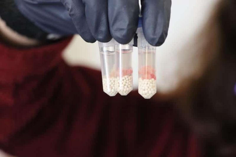 Free Cwd Test Kits - Landscape Photos - Perfect Mobile Collection