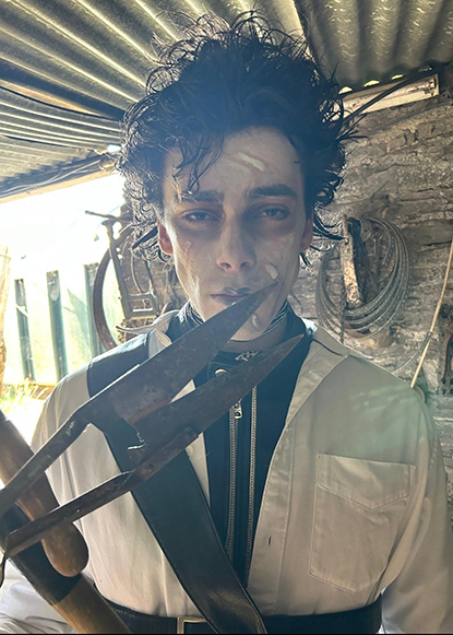 Herbie Models Plus - Desktop Landscape Images for Desktop