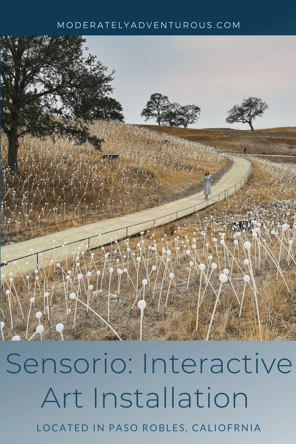 Field of Lights Paso Robles during the day