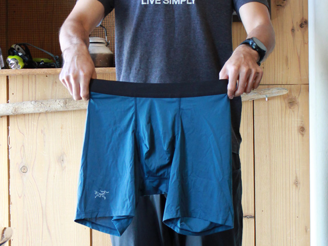 【最終値下】THE NORTH FACE スノーボード　ビブパンツ THE NORTH FACE ノースフェイス メンズ 高機能 スノーボード