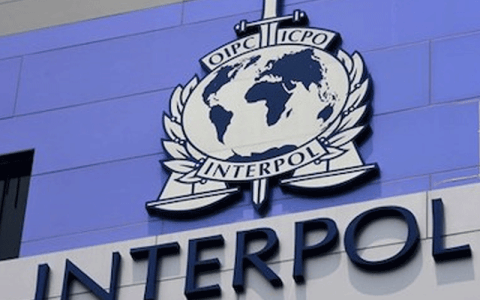 INTERPOL Warns AI Powers Over 50% of Cybercrime in Africa