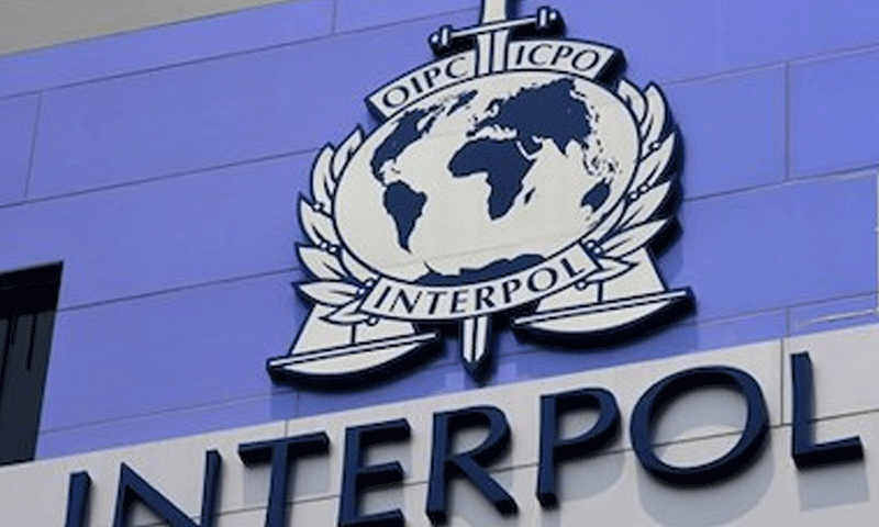 INTERPOL Warns AI Powers Over 50% of Cybercrime in Africa