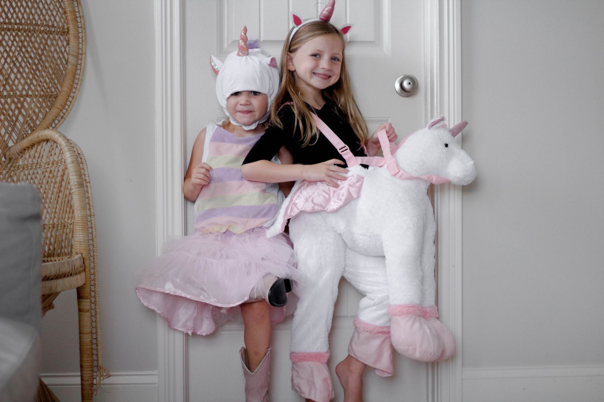 2 Unicorns