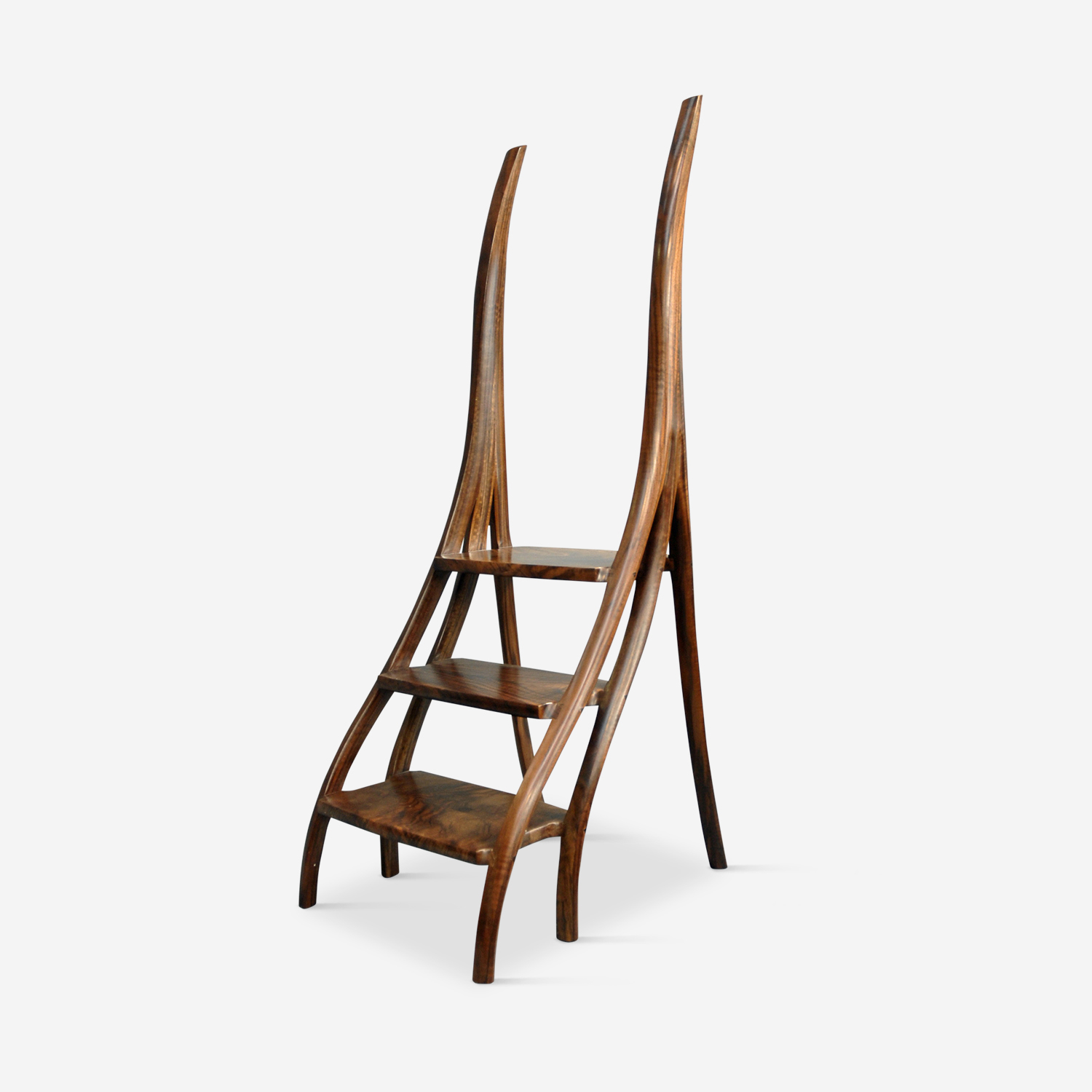 Library Ladder