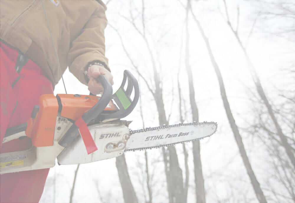 How To Fell A Tree With Pictures Wikihow