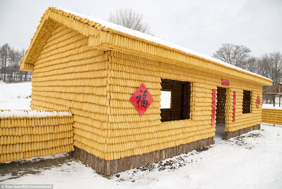 10 Best Cob Houses & the Benefits of Building One