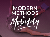 The Modern Methods Of Mobility System