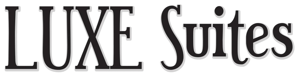 modern pet salon professional sophisticated modern on modern pet salon weddington