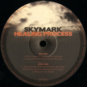 Skymark - Healing Process Ep (released in 2012)