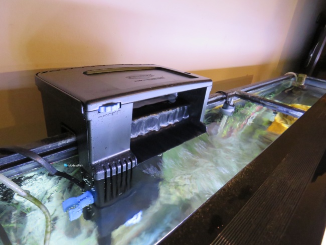 Buy Seachem Tidal Power Aquarium Filter 35 Gallon Large Fish Tank Filter Online In Vietnam B07nj28t1x If noise is a concern the Tidal 55 is considerably quieter.