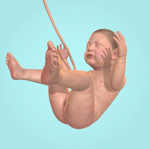 Idle 9 Months.png