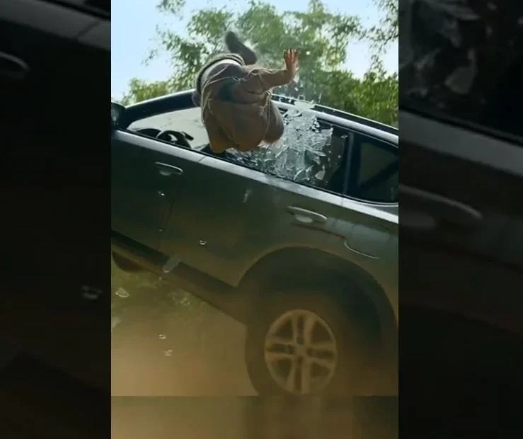 Brave Monkey Saves Child From Other