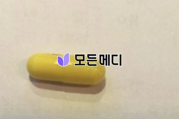 오르리스타트 슬림탑 직구, 구매, 후기