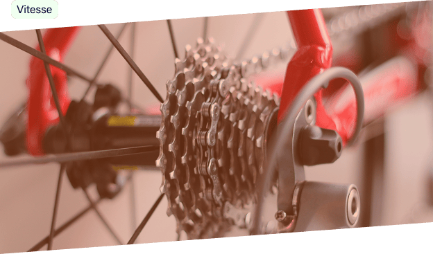 pignon d'une chaine de vélo Modulo