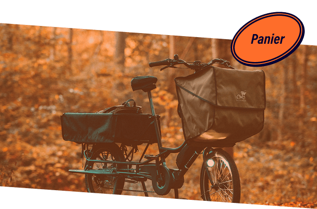 Grand panier pour le transport à vélo