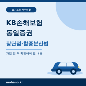 KB손해보험 자동차보험 동일증권