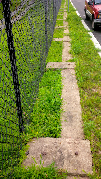 Base of the former fence on Cornell St.