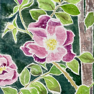 Reach Roses at Mohx Galleries