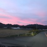 草刈りだけで終わった1日