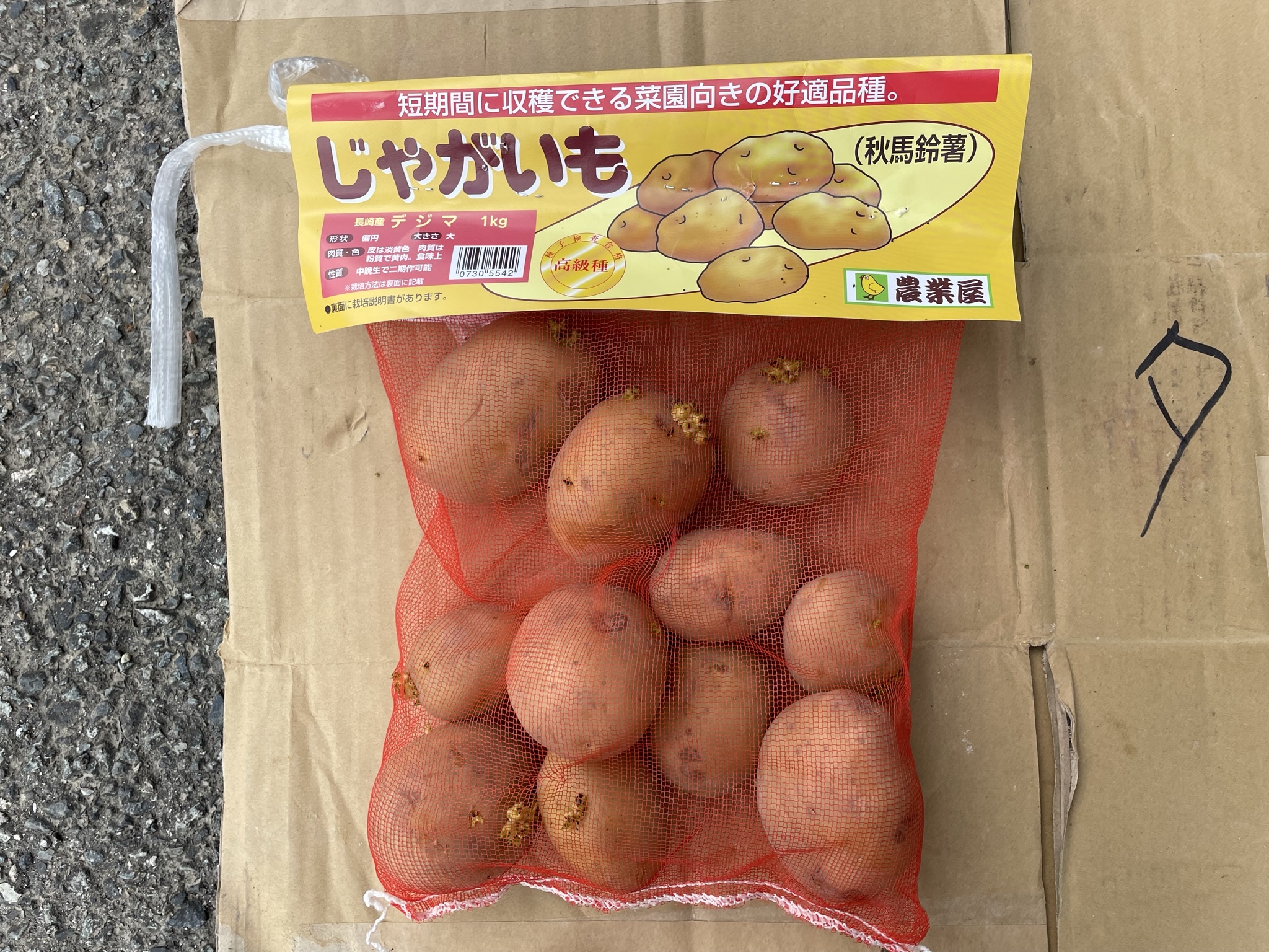 じゃがいも「長崎産デジマ」2023秋moja.asia