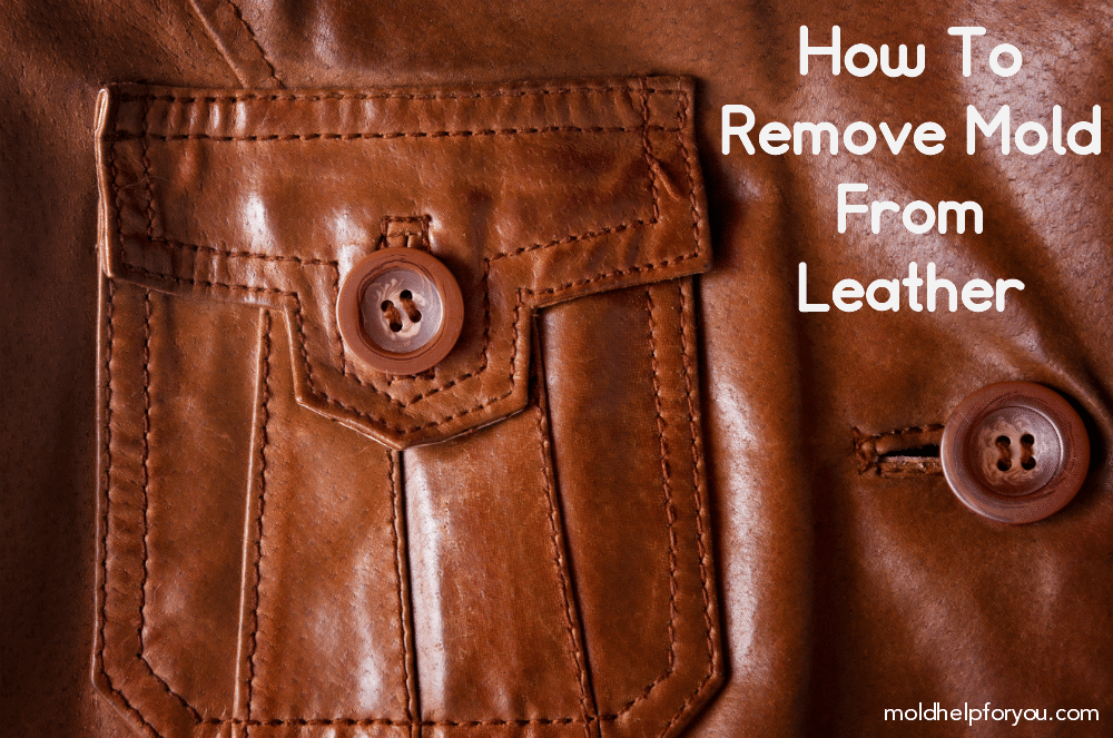 How To Clean Mold Off Leather In Four Easy Steps 